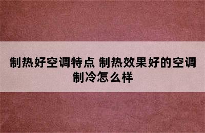 制热好空调特点 制热效果好的空调制冷怎么样